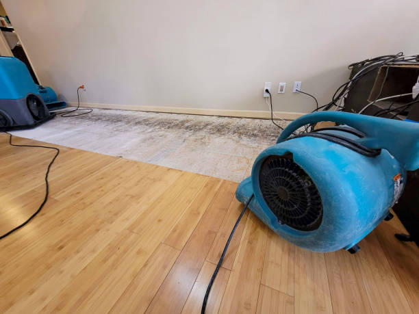 Professional Basement Flood Cleanup technician working in Martinsville, VA